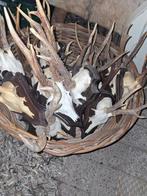 Geweitjes 10 p stuk 2 voor 15, Antiek en Kunst, Ophalen of Verzenden