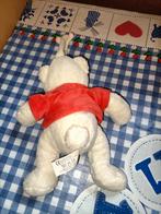 Feijenoord beer knuffel met slaapliedje muziekdoos 20 cm, Kinderen en Baby's, Speelgoed | Knuffels en Pluche, Ophalen of Verzenden