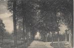 Neder-Hardinxveld (Z.H.) Achterdijk, veel Volk, gelopen 1931, Verzenden, 1920 tot 1940, Gelopen, Zuid-Holland