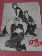 Stray Cats Vintage poster uit de Pop Foto. 70er jaren., Ophalen of Verzenden, Zo goed als nieuw, Foto of Kaart