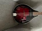 Mandoline, Muziek en Instrumenten, Snaarinstrumenten | Mandolines, Ophalen of Verzenden, Gebruikt