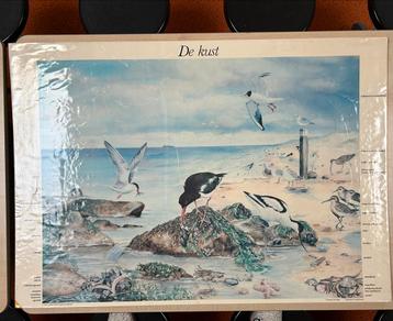 Wandplaat De Kust - Natuur en Biologie beschikbaar voor biedingen