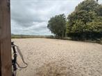 Stalling aangeboden, Dieren en Toebehoren, Stalling en Weidegang, Stalling