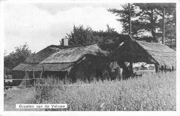 (388-474-007) Groeten van de Veluwe beschikbaar voor biedingen