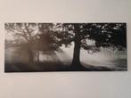 Canvas Ikea Bjorksta Forest Glade II, Huis en Inrichting, Woonaccessoires | Schilderijen, Tekeningen en Foto's, Ophalen, Gebruikt