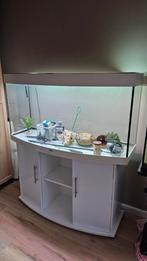 Prachtige juwel vision 280 wit aquarium 120 cm, Ophalen, Zo goed als nieuw, Gevuld zoetwateraquarium