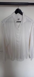 NETTE WEDSTRIJD BLOUSE 38 VAN HARRY HORSE, Dieren en Toebehoren, Ophalen, Zo goed als nieuw, Dressuur