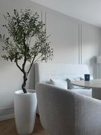 Kunst Olijfboom met Pot & Sierkiezels, Huis en Inrichting, Ophalen, Zo goed als nieuw, Binnen