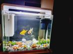 Superfish Aquarium Home 40 Led + 2 vissen, Dieren en Toebehoren, Vissen | Aquaria en Toebehoren, Ophalen of Verzenden, Gebruikt