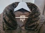 Dames winterjas XL, z.g.a.n. Miss Etam., Kleding | Dames, Jassen | Winter, Bruin, Maat 46/48 (XL) of groter, Ophalen of Verzenden