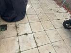 Tuintegels 40x40 - Gratis af te halen!, Tuin en Terras, Tegels en Klinkers, Ophalen, Gebruikt, 10 m² of meer, Beton