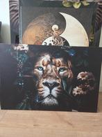 Schilderij op canvas - 90 x 60 cm, Ophalen, 50 tot 75 cm, Zo goed als nieuw, Schilderij