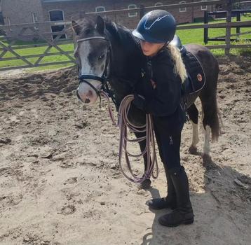 Super lieve, knappe kinder pony beschikbaar voor biedingen