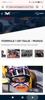 GEZOCHT 1:2 Monza 2016 helm Max Verstappen, Verzamelen, Automerken, Motoren en Formule 1, Ophalen of Verzenden, Nieuw, Formule 1