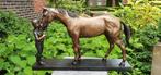 MEISJE MET PAARD / Bronzen beeld, Ophalen of Verzenden