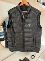 Prada bodywarmer maat L, Ophalen of Verzenden, Zo goed als nieuw, Zwart
