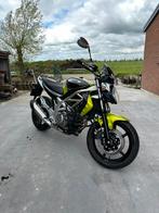 Suzuki Gladius SFV650, a2 mogelijk, onderhoudshistorie!, Naked bike, Particulier, 2 cilinders, 645 cc