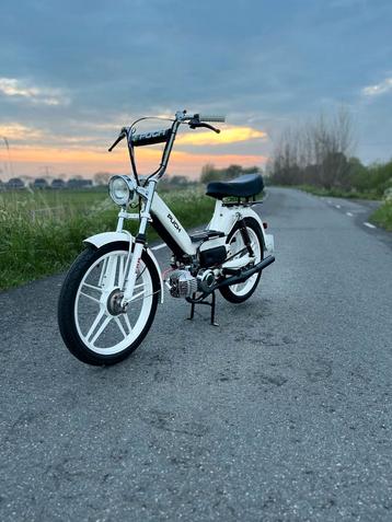 OPKNAPPERS GEZOCHT (Tomos of Puch) beschikbaar voor biedingen