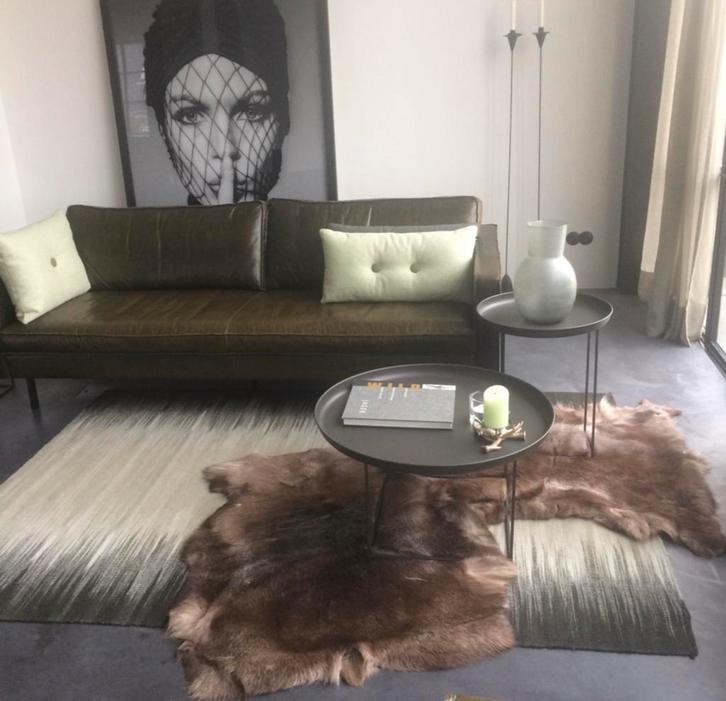 Drie prachtige Rendierhuiden Scandinavië p/st 149,95 euro, Huis en Inrichting, Woonaccessoires | Plaids en Woondekens, Zo goed als nieuw