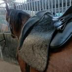 Alpha vaquero Iberosattel, Ophalen of Verzenden, Zo goed als nieuw, Dressuur