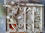 Vintage/antieke kerstballen/ornamenten set 8, Diversen, Kerst, Ophalen