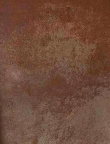 3x wand / vloertegels 120 x 120 roest bruin beschikbaar voor biedingen
