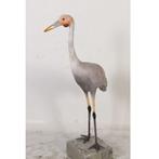 Brolga Crane – Kraanvogel beeld Hoogte 150 cm, Ophalen, Nieuw