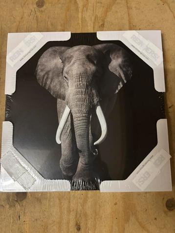 Schilderij op hout olifant beschikbaar voor biedingen
