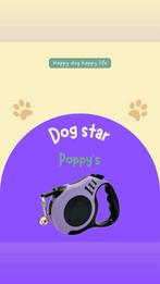 Hondenriem – 3m / 5m, Dieren en Toebehoren, Ophalen of Verzenden, Nieuw