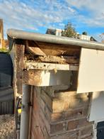 Herstellen houtrot, Gevelraam of Ruit, Minder dan 80 cm, Minder dan 80 cm, Ophalen of Verzenden