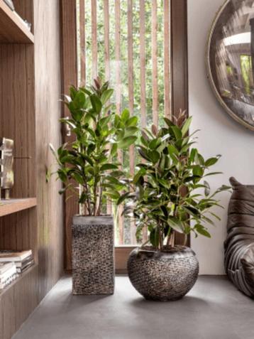 Plantenbak, bloempot, Baq design, 9 soorten, lage prijzen! beschikbaar voor biedingen