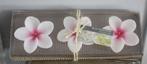 nieuw in verpakking wild frangipani kaarsen, Overige materialen, Nieuw, Ophalen of Verzenden, Kaars
