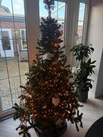 Kerstboom, Ophalen, Gebruikt, Binnen
