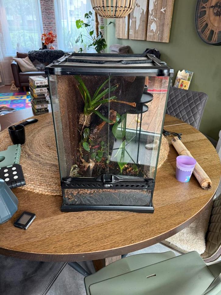Exo terra 30x30x45, Dieren en Toebehoren, Reptielen en Amfibieën | Toebehoren, Zo goed als nieuw, Ophalen