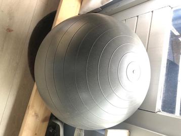 Ergonomische bal - Gymnic Plus beschikbaar voor biedingen