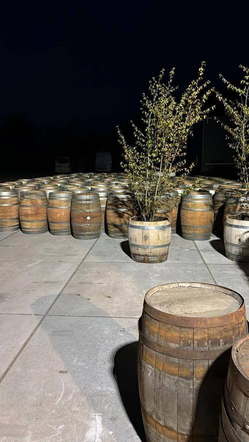 Bloembak olijfbloembak dompelbak mini vijver aanbieding, Tuin en Terras, Bloembakken en Plantenbakken, Nieuw, Hout, Minder dan 60 cm