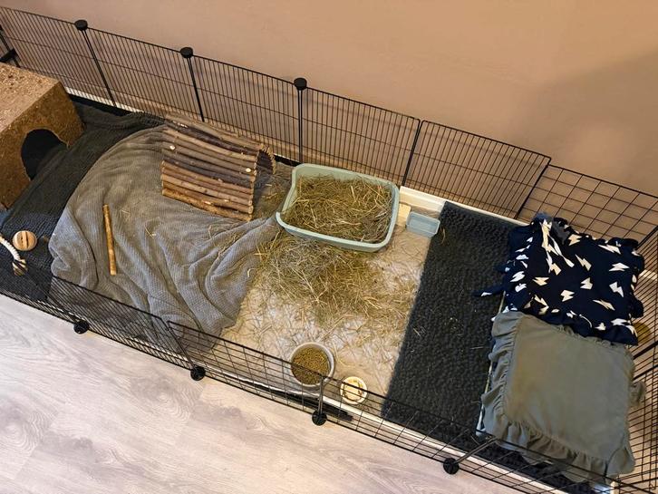 Draadkubus kooi, Dieren en Toebehoren, Knaagdieren en Konijnen | Toebehoren, Zo goed als nieuw, Ophalen of Verzenden