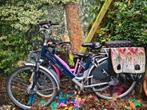 Stella e-bike, Fietsen en Brommers, Fietsen | Dames | Damesfietsen, Ophalen, Gebruikt, Overige merken