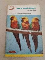 Plaatjesboek vogels Compleet Rizzla, Gelezen, Ophalen of Verzenden, Rizzla, Plaatjesalbum