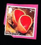 ENGELAND gestempeld NATUUR PADDENSTOEL jaar 2025!, Ophalen of Verzenden