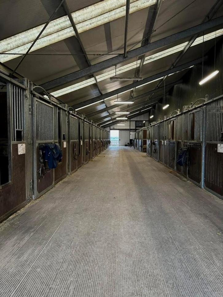 Pensionstal, stalling paard, paardenbox., Dieren en Toebehoren, Paarden en Pony's | Overige Paardenspullen, Ophalen of Verzenden