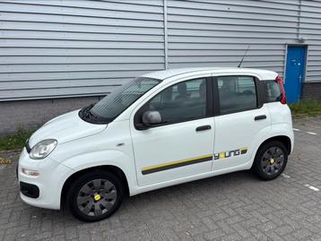 Fiat Panda 0.9 Twinair 44KW 2014 Wit Young uitvoering beschikbaar voor biedingen