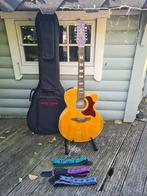 Takamine 12 snarige gitaar, Ophalen, Zo goed als nieuw, Western- of Steelstringgitaar
