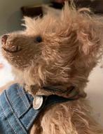 Schattige Clemens beer, Ophalen of Verzenden