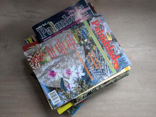 Palmblad+ Dn blad, Dieren en Toebehoren, Reptielen en Amfibieën | Toebehoren, Zo goed als nieuw, Overige typen, Ophalen