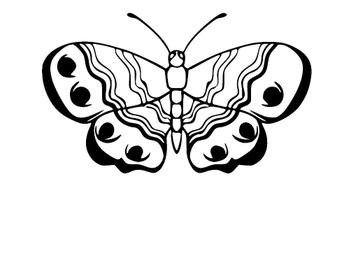 Vlinder stickers in verschillende soorten en maten beschikbaar voor biedingen