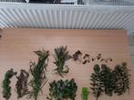Leuk pakket aquariumplanten 20 soorten, Ophalen of Verzenden, Zo goed als nieuw, Plant(en), Steen of Hout