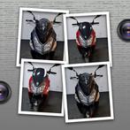 Sym Jet 14   2e hands scooters, Ophalen, Gebruikt, Benzine, Overige modellen