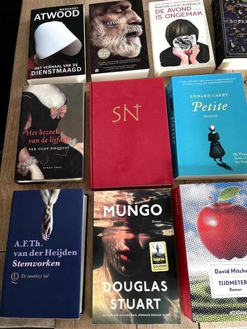 verschillende boeken literatuur romans Nederlandstalig zgan beschikbaar voor biedingen