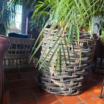 Grote Gevlochten Mand voor Planten, Ophalen, Overige materialen, 40 cm of meer, Rond